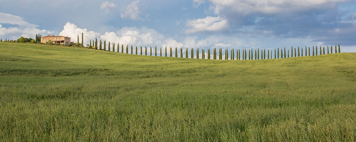 Val D'Orcia